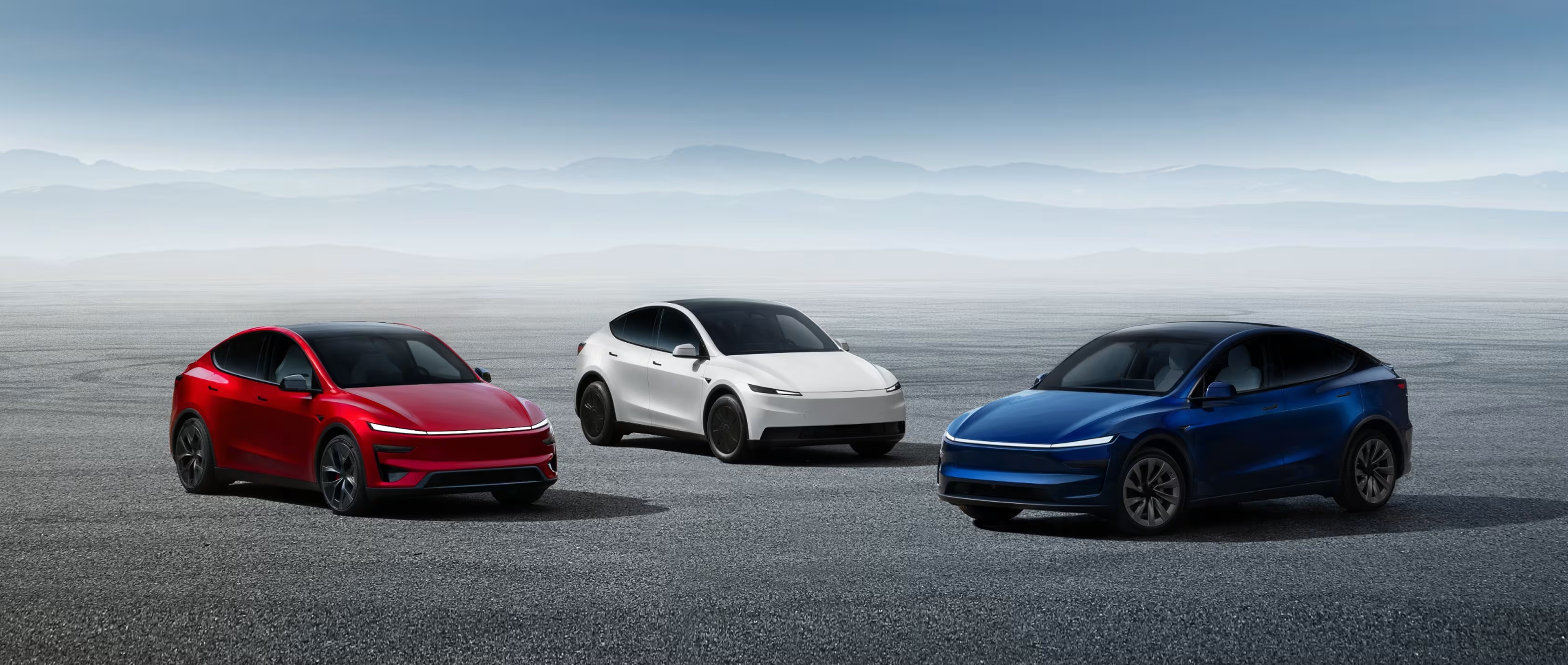 Model Y
